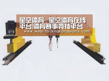 产品名称十八
