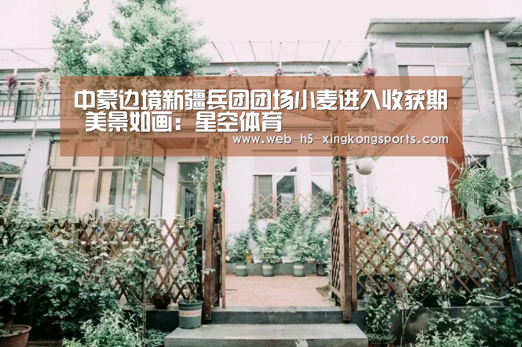 中蒙边境新疆兵团团场小麦进入收获期 美景如画:星空体育(图4) 星空体育app下载
