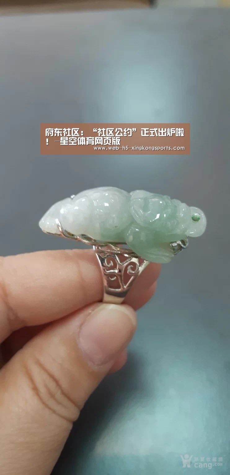 府东社区：“社区公约”正式出炉啦！-星空体育网页版