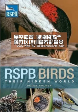 星空体育_建德梅城严陵社区培训营养配餐员帮扶失业人员