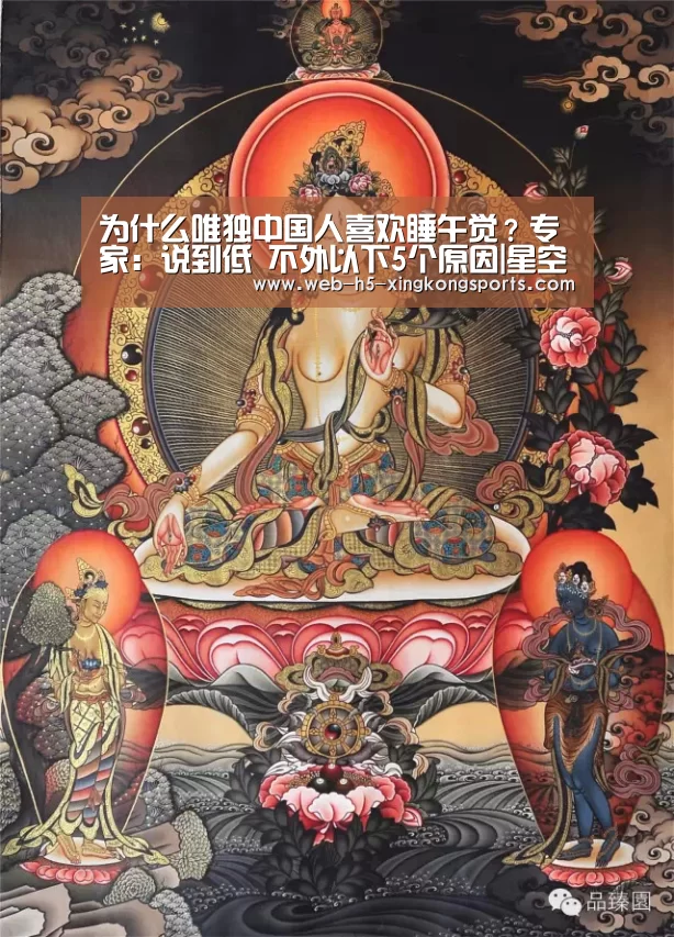 星空体育网页版